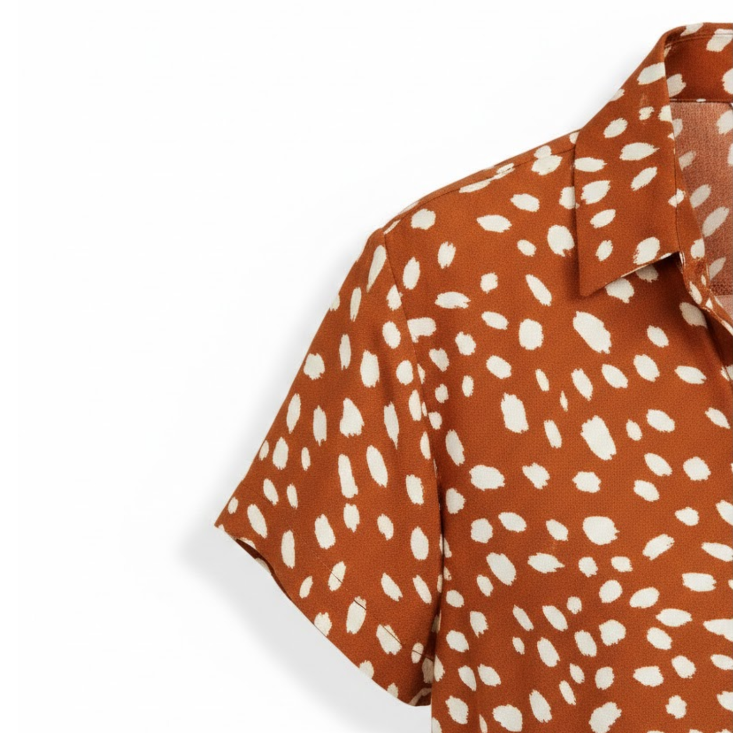 Polka Dot Short Sleeve Shirt Dress with Turn Down Collar and Coordinating Waistband