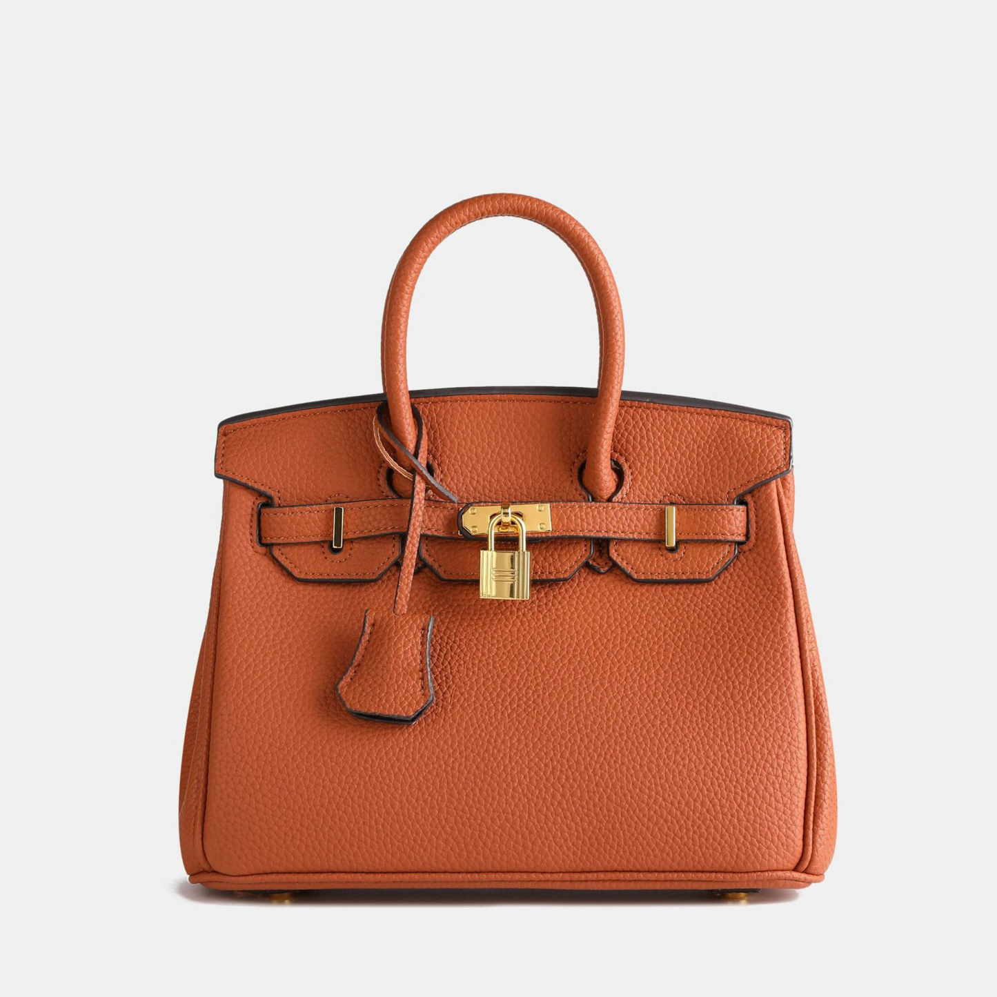 Elegant Women's Structured Handbag with Top Handles and Gold-Tone Accents