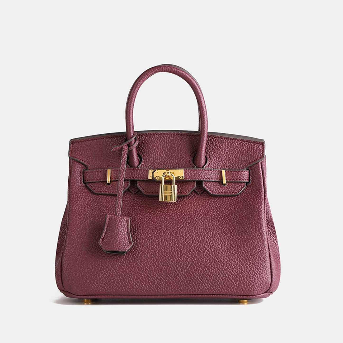 Elegant Women's Structured Handbag with Top Handles and Gold-Tone Accents