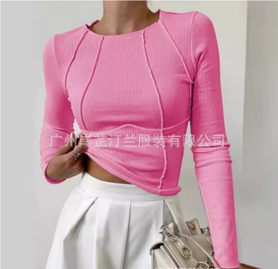 Ladies Slim Fit Top with Round Neck and Long Sleeves